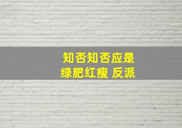 知否知否应是绿肥红瘦 反派